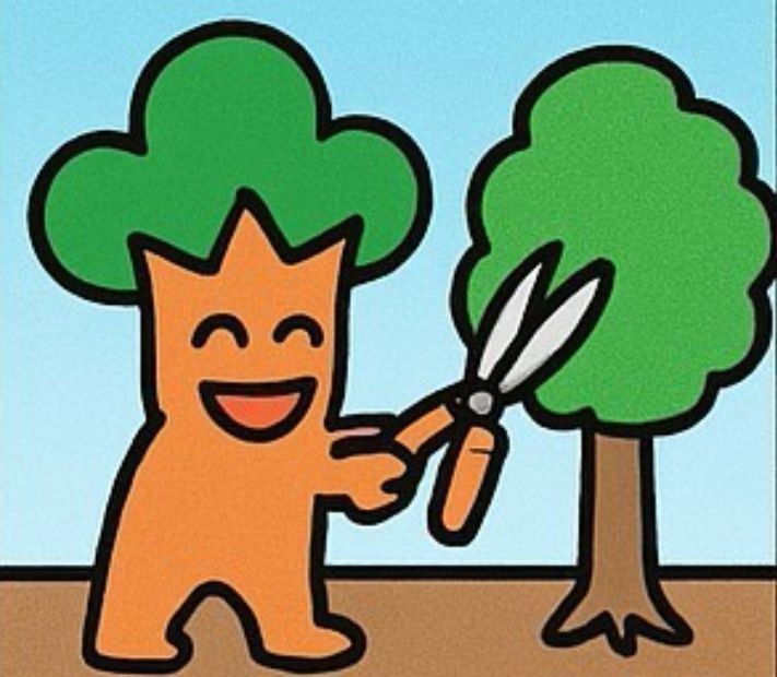 鎌倉市の植木屋が庭木を剪定している様子