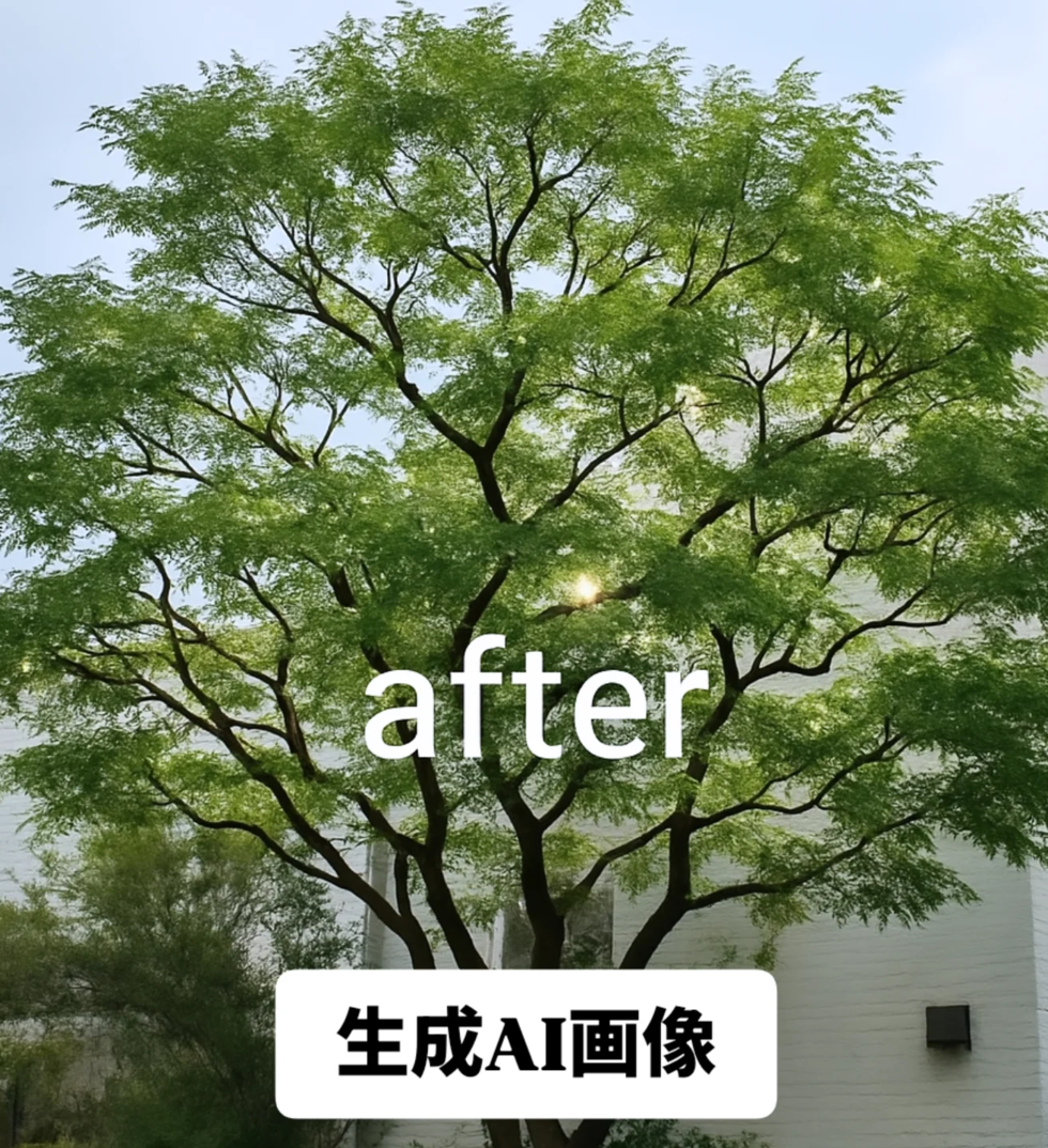 剪定後イメージ画